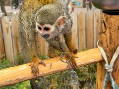 -水上乐园·欢乐世界