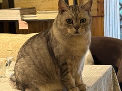 -隅cafe(傅厚岗店)