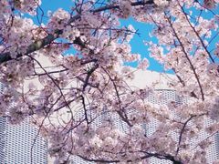 -龙美术馆(西岸馆)