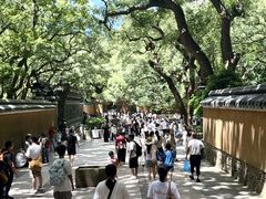 -普陀山风景名胜区-法雨禅寺