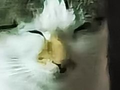 -海宁煲农家菜(惠南镇店)