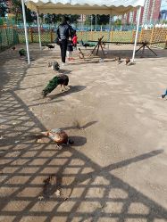 -萌宠亲子动物乐园(槐房万达店)