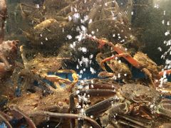 -蟹之国·精品蟹料理(极地店)