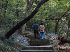 -九曜山