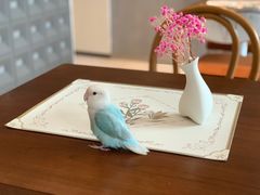 -Bai Meow法式西点咖啡