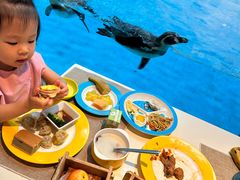 -帝企鹅自助餐厅•儿童岛•真企鹅(长隆企鹅酒店)