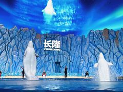 -珠海长隆海洋王国