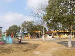 -上海海湾国家森林公园