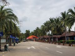 -万绿园