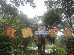 -广州长隆飞鸟乐园