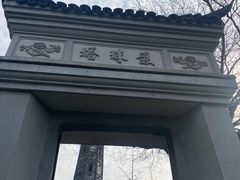 -上海佘山国家森林公园天马山园