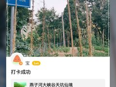 -燕子河大峡谷天坑仙境