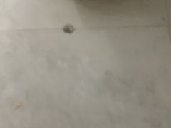 -雅盛品931海鲜酒家