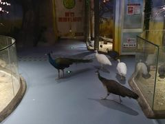 -梦幻海洋王国(吾悦广场张家港店)
