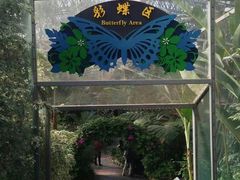-深圳东部华侨城茵特拉根酒店