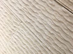 -天鹅湖生态旅游风景区