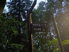 -缙云山景区