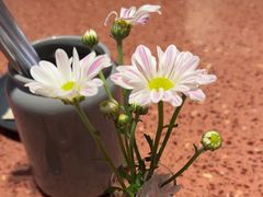 -La Terre乐田(万象城店)