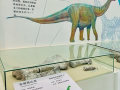 -安徽省地质博物馆
