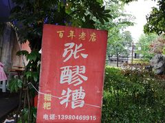 -张醪糟