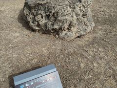 -延庆地质公园博物馆