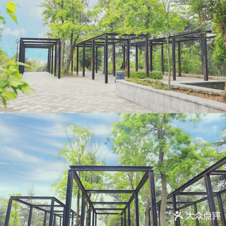 误入成都版森林公园🏠打卡童话小木屋!