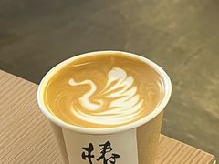 -椿树咖啡