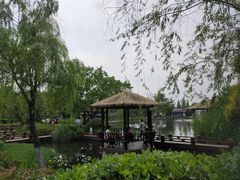 -成飞公园