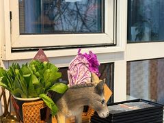 -慢丽江·云南野生菌土鸡锅(西山店)