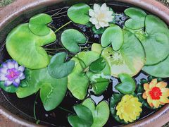 -上海兴国宾馆香樟园西餐厅