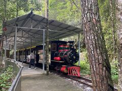 -九龙江国家森林公园