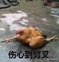 -金逸影城(中关村店)