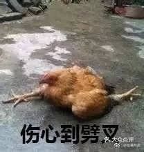 金逸影城(中关村店)图片