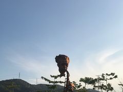 -白石龙音乐公园
