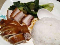 -顺德碧桂园西苑泛翠庭