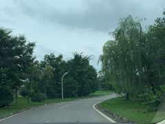 -秋香鱼馆(世凹桃园店)