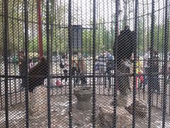 -长白岛森林公园