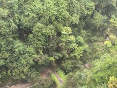 -天台山琼台仙谷景区