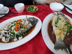 清蒸鲫鱼-先鲜鲫鱼粥