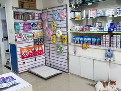 -宠福鑫动物医院(立水桥分院)