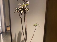 -花锦堂·隐庐