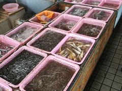 -大湾区中央湿地公园-十九涌