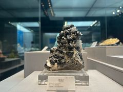 -湖南省地质博物馆