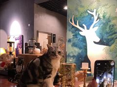 -咖法森林·咖啡  酒吧(天河店)