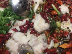 -姜君·千岛湖鱼头馆(浦东大道店)