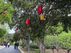 -无锡梅园公园