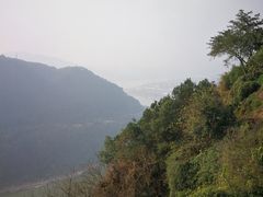 -铁山坪森林公园