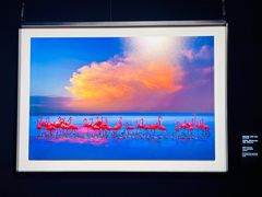 -罗红摄影艺术馆