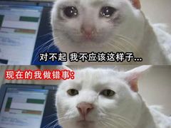 -觅你映画·精致照相馆(爱琴海店)