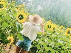 -奥林匹克森林公园北园-停车场